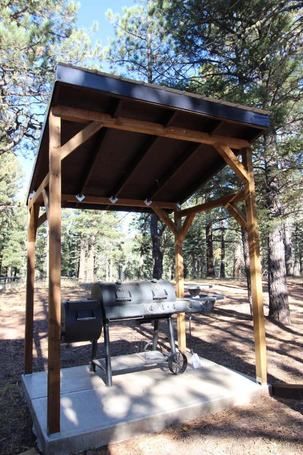 Aspen Springs Angel Fire Aparthotel Екстериор снимка